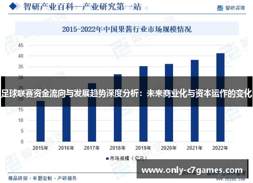 足球联赛资金流向与发展趋势深度分析：未来商业化与资本运作的变化