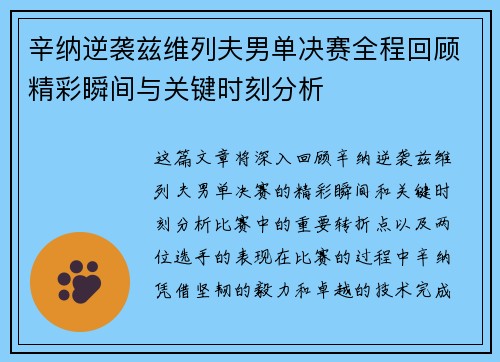 辛纳逆袭兹维列夫男单决赛全程回顾精彩瞬间与关键时刻分析