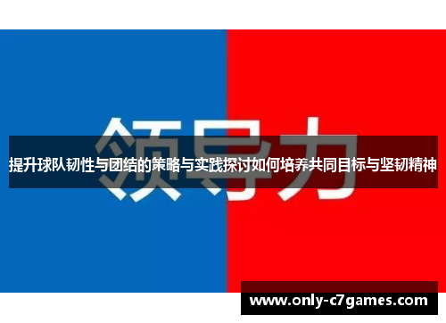 提升球队韧性与团结的策略与实践探讨如何培养共同目标与坚韧精神