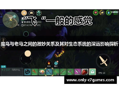 魔鸟与老马之间的微妙关系及其对生态系统的深远影响探析